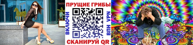 где можно купить   Сясьстрой  Псилоцибиновые грибы ЛСД 